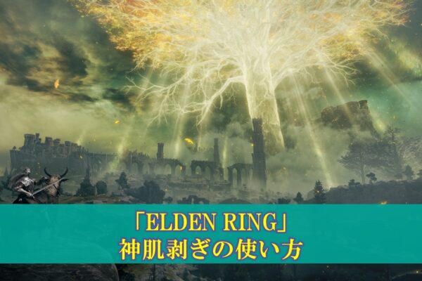 【Lies of P】「高貴な恩義」の性能考察（入手方法、使い方）